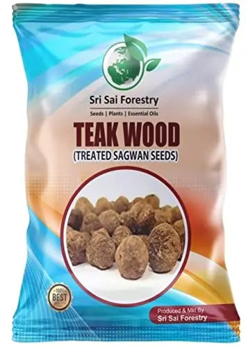 Teak Wood Seeds (Tectona Grandis) Sagwan Tree Seeds SRI SAI FORESTRY