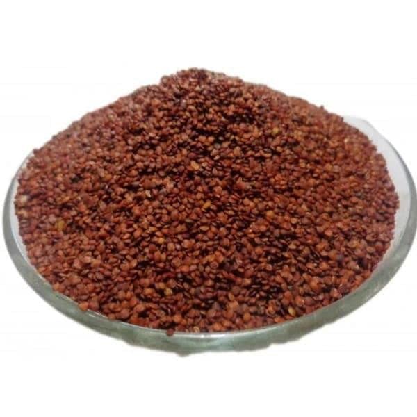 Touch Me Not Seeds for Home Garden SRI SAI FORESTRY