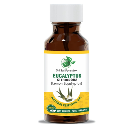 Eucalyptus Citriodora Oil – Refreshing Lemon Scent for Aromatherapy (Lemon Eucalyptus) SRI SAI FORESTRY