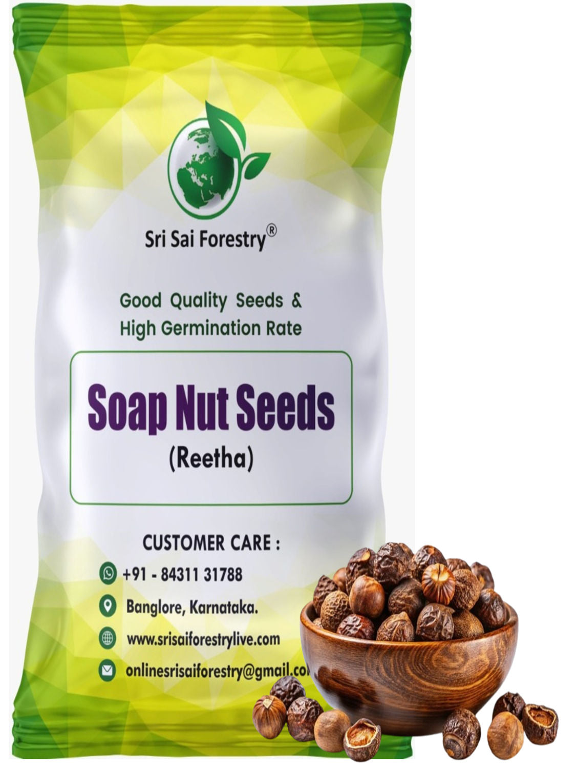Reetha Tree Images Soap Nut Tree Seeds (Sapindus Marginatus), Indian Reetha Seed for Home ...