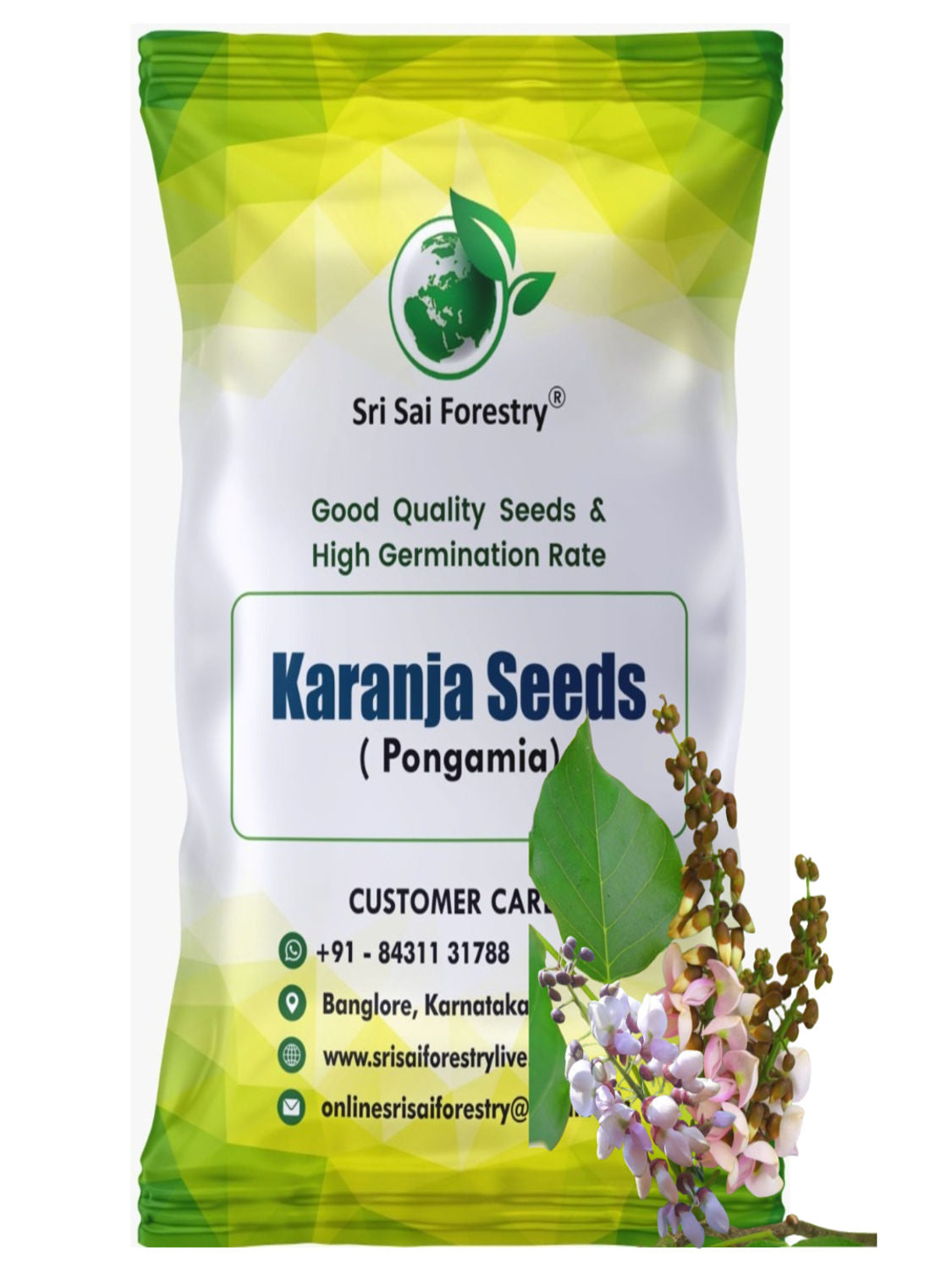 Pongamia Pinnata Tree Seeds, Kanuga Seeds, Honge, Pungai Tree Seeds for Planting SRI SAI FORESTRY