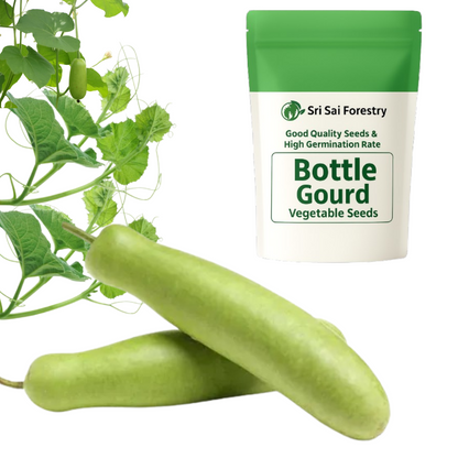 Bottle Gourd Seeds for Planting, Lauki | Ghiya | Doodhi | Sorakaya | Suraikai | Kaddu | Lau Vegetable Seeds for Home Garden, Terrace, Balcony & Kitchen Gardening SRI SAI FORESTRY