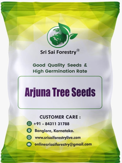 Arjuna Seeds for Planting -Terminalia SRI SAI FORESTRY