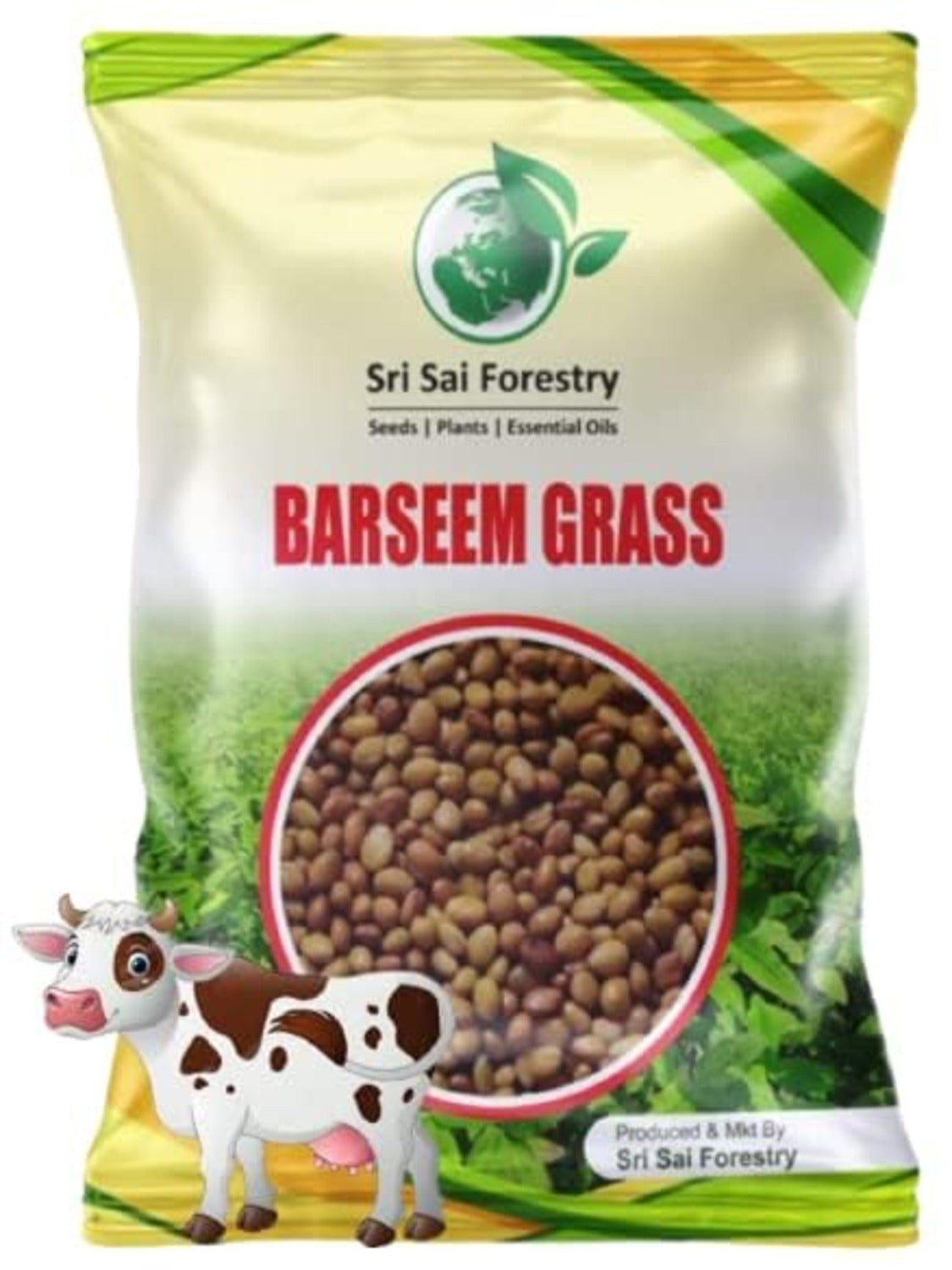 Berseem Grass Seeds for Cow, King of Fodder Grass Seed SRI SAI FORESTRY