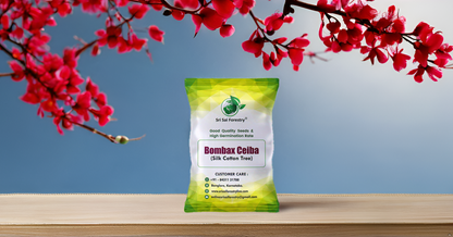Bombax Ceiba Red Silk Cotton, Marathi Moggu Tree Seeds for Avenue, Garden, Ornamental, Indian Spice SRI SAI FORESTRY