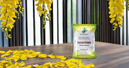 Cassia Fistula Tree Seeds – Grow the Glorious Golden Shower Tree! SRI SAI FORESTRY