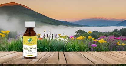 Nilgiri Hills Citronella Oil for Natural Hair Care, Oily Skin Treatment & Aromatherapy SRI SAI FORESTRY