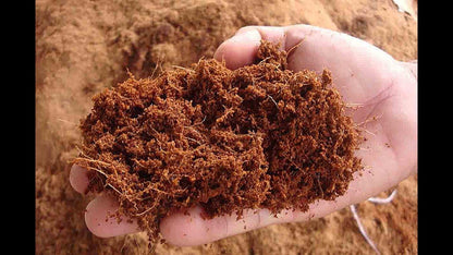 Cocopeat Growing Medium Ready-to-Use Potting Mix for Seedlings & Potted Plants SRI SAI FORESTRY