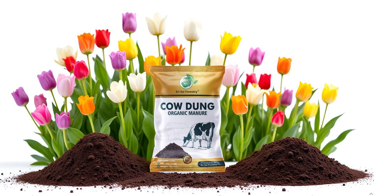 Cow Dung Manure for Plants – 100% Organic & Natural Fertilizer SRI SAI FORESTRY