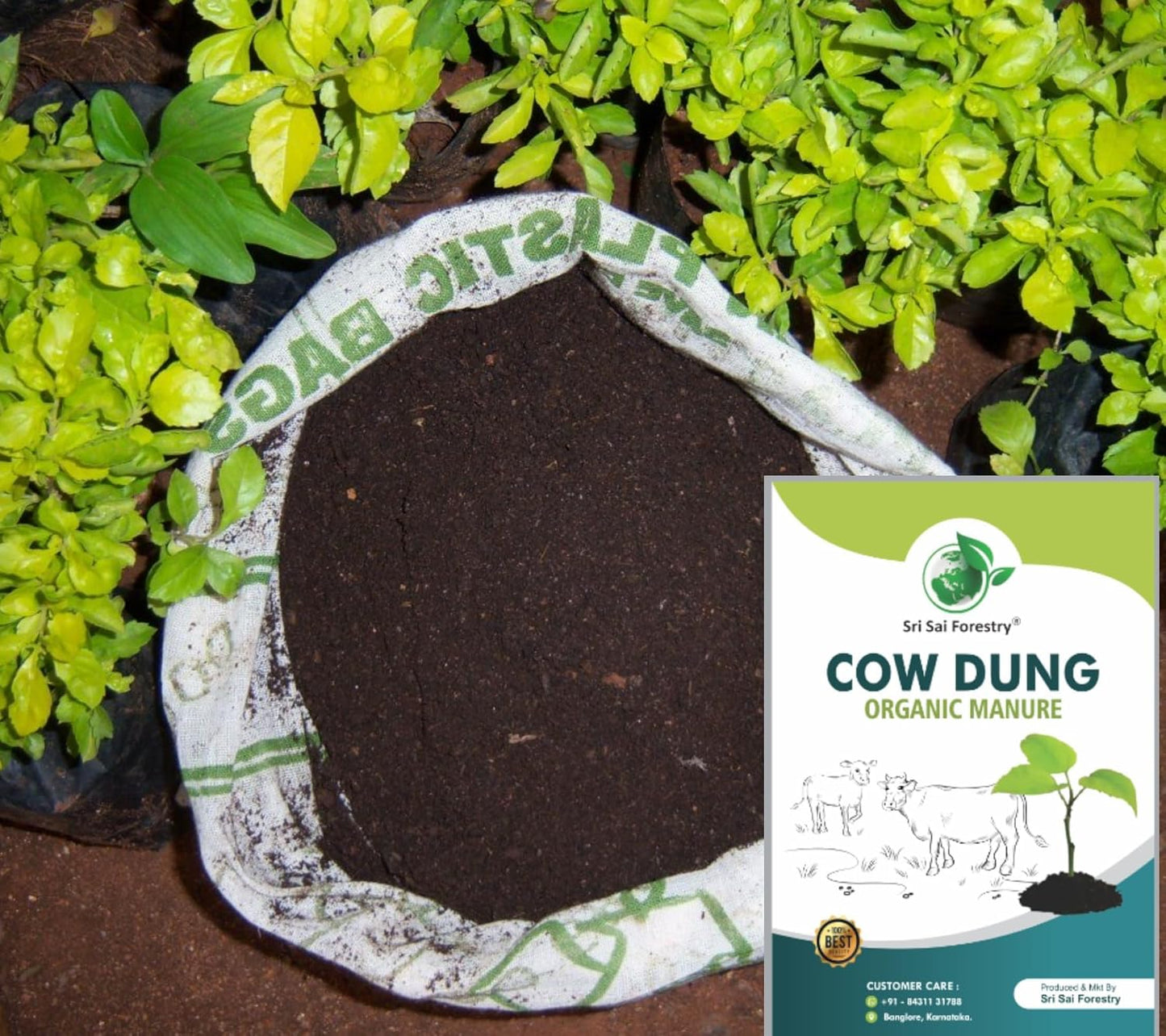 Cow Dung Manure for Plants – 100% Organic & Natural Fertilizer SRI SAI FORESTRY