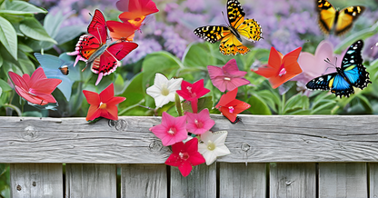 Cypress Vine Seeds Creeper Plant Seeds SRI SAI FORESTRY