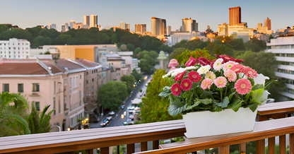 Daisy Seeds – Mixed Color Blooms for a Vibrant Garden, Balcony & Terrace SRI SAI FORESTRY