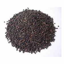 Bombax Ceiba Red Silk Cotton, Marathi Moggu Tree Seeds for Avenue, Garden, Ornamental, Indian Spice SRI SAI FORESTRY