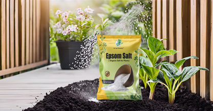 SRI SAI FORESTRY Epsom Salt for Plants, Organic Magnesium Sulfate, Enhances Growth, Flowering, Fruit Production SRI SAI FORESTRY
