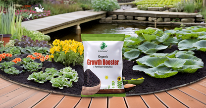 Growth Booster Fertilizer  Granules – All-in-One Plant Food for Indoor & Outdoor Gardens, Enhances Flowers, Fruits, Veggies & Herbs SRI SAI FORESTRY
