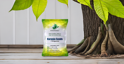 Pongamia Pinnata Tree Seeds, Kanuga Seeds, Honge, Pungai Tree Seeds for Planting SRI SAI FORESTRY