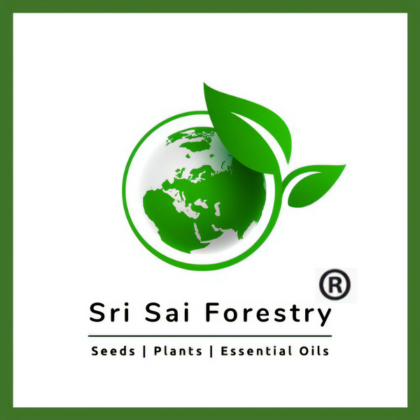 SRI SAI FORESTRY