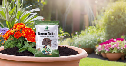 Neem Cake Powder for Plants – Organic Soil Enhancer, Natural Pest Control, Rich in Nitrogen, Phosphorus & Potassium for Healthier Growth – Neem Cake Fertilizer SRI SAI FORESTRY
