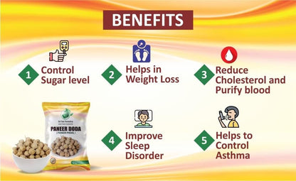 Paneer Dodi | Paneer Phool For Diabetes SRI SAI FORESTRY