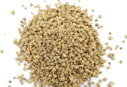 Spinach Seeds for Planting Palak Pasala Keerai Palakura Vegetable Seed for Home Garden, Terrace &amp; Balcony Gardening SRI SAI FORESTRY