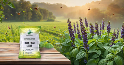 Natural  Krishna Holy Tulsi Seeds for Planting SRI SAI FORESTRY