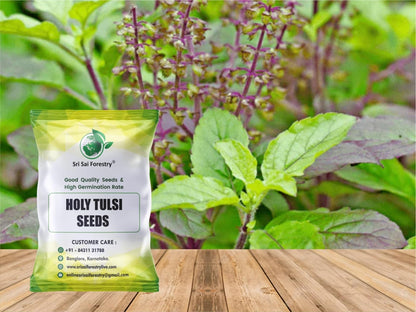 Natural  Krishna Holy Tulsi Seeds for Planting SRI SAI FORESTRY