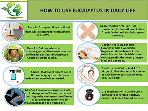 Eucalyptus (Nilgiri) Essential Oil - Therapeutic Grade