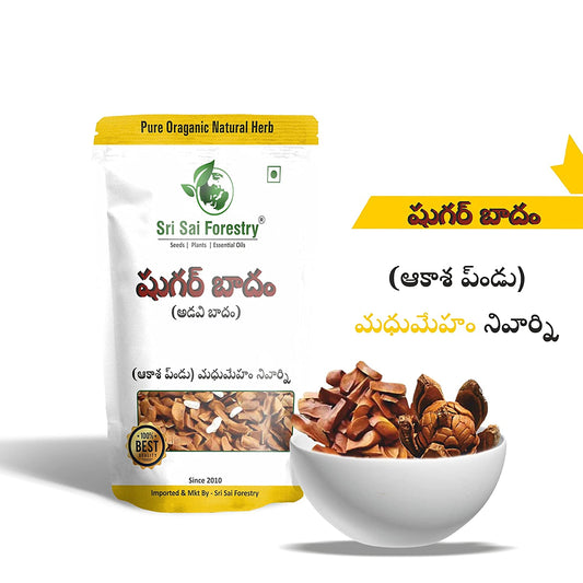 Sugar Badam - Adavi Badam - Akasha Pandu - Kadwa Badam Seeds