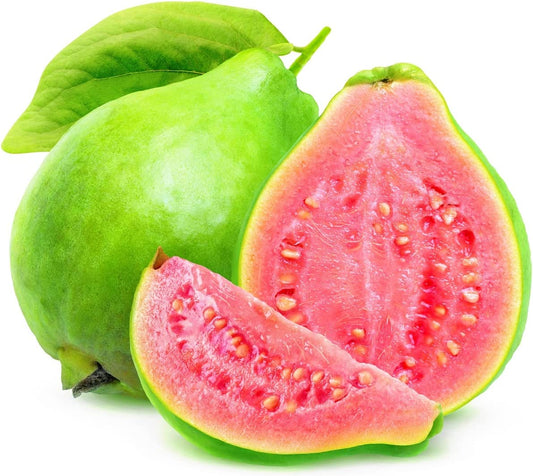 Guava Fruit Tree Seeds for Planting
