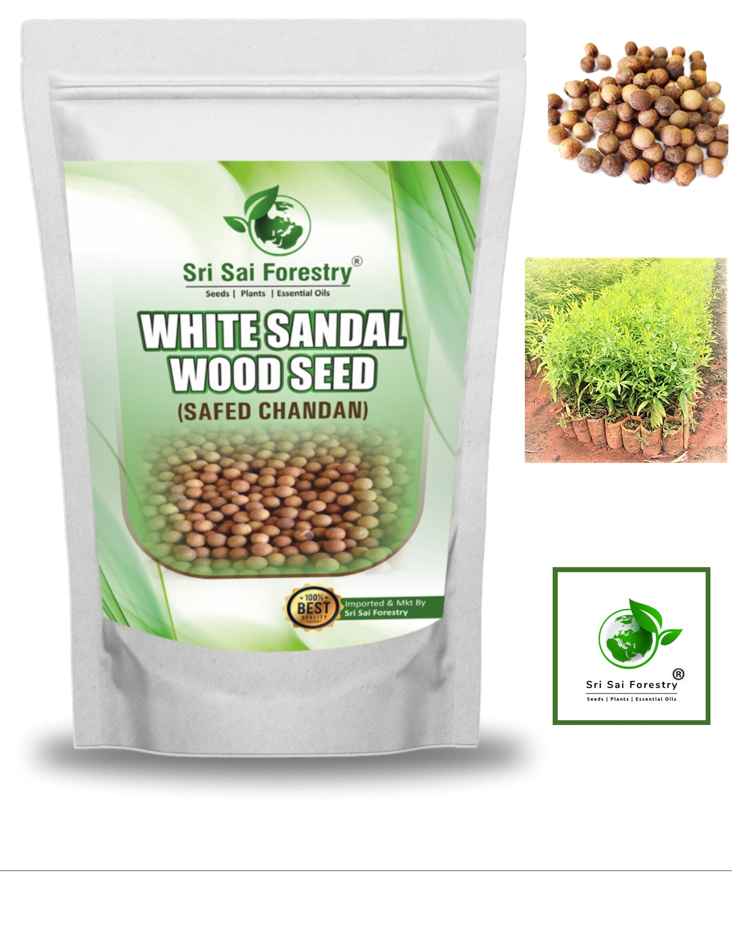 white sandalwood seeds