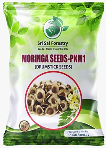 Moringa Seeds PKM for Planting